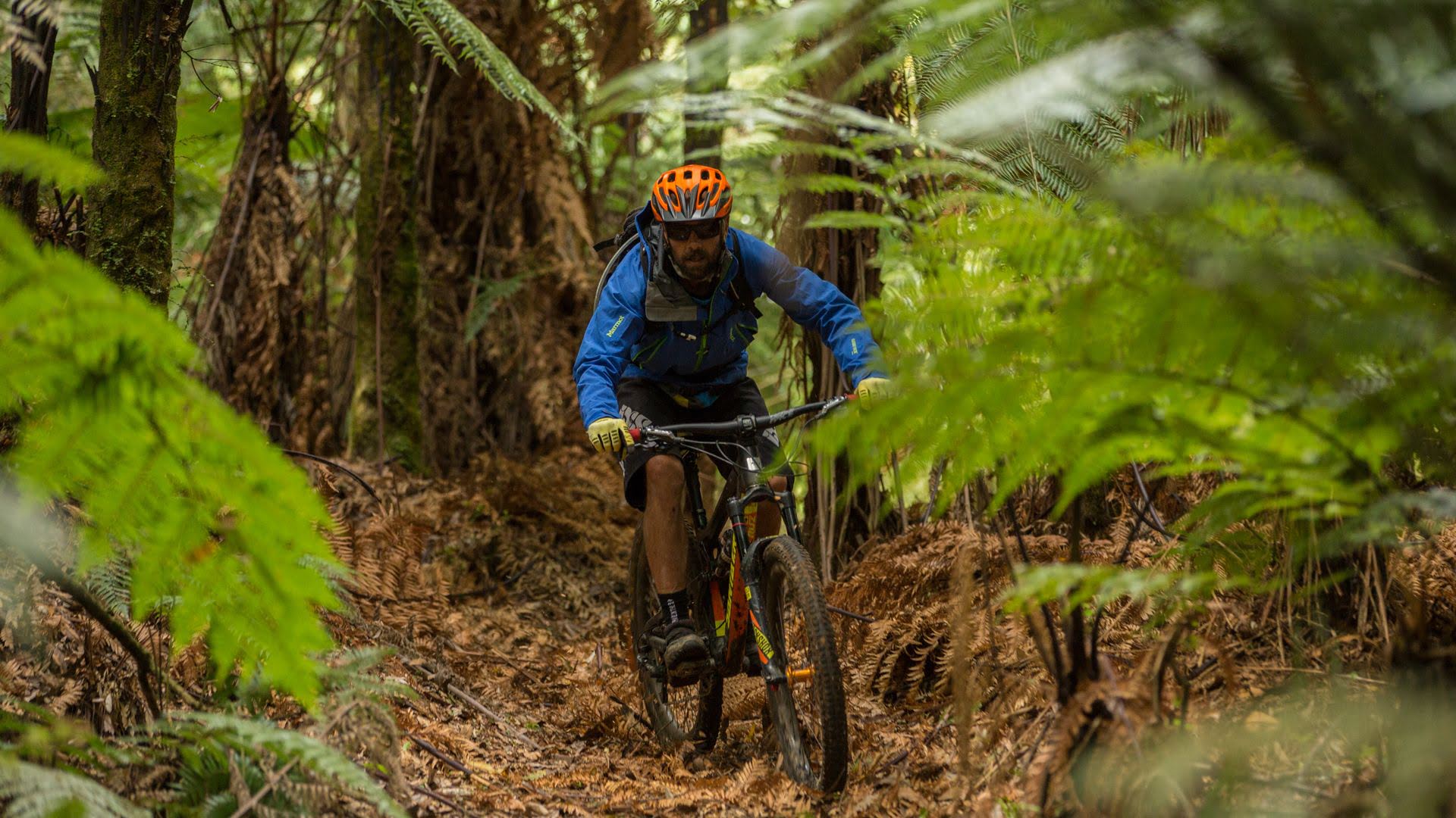 A man cycling through the forest on the 42 Travese Trail - Visit Ruapehu.jpg